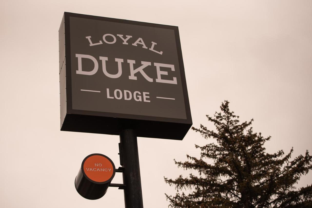Loyal Duke Lodge Salida Exterior photo